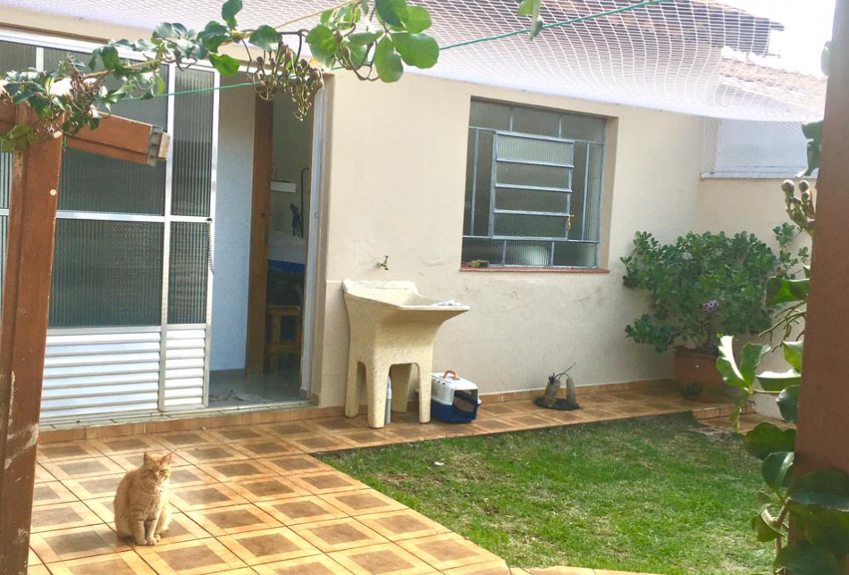 Captura de tela 2025-10-07 171519